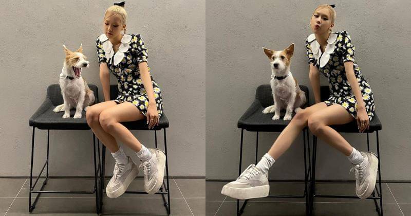 Instagram.com/roses_are_rosie