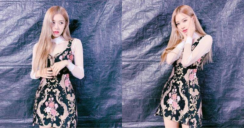 Instagram.com/roses_are_rosie