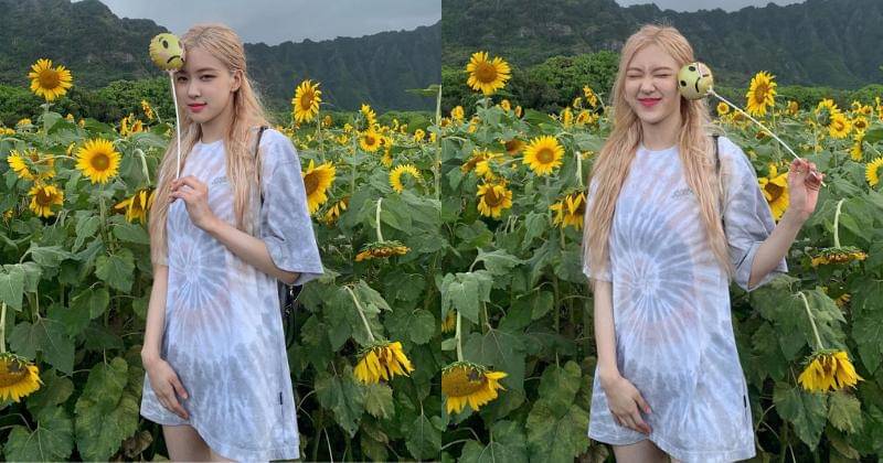 Instagram.com/roses_are_rosie