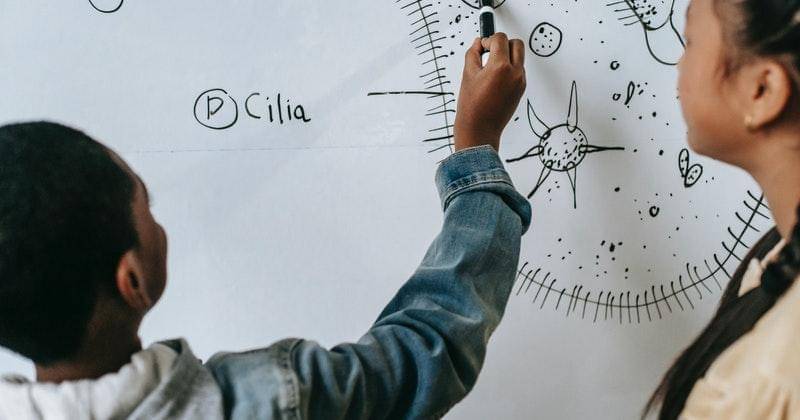 Pexels/katerina-holmes