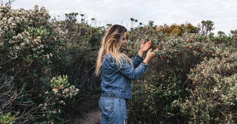 Pexels/Rachel Claire