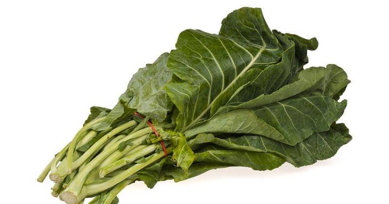 Pixabay/WikimediaImages