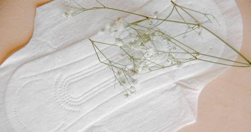 Pexels/polina-tankilevitch