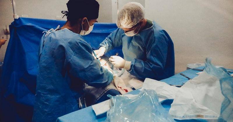 Pexels/vidal-balielo