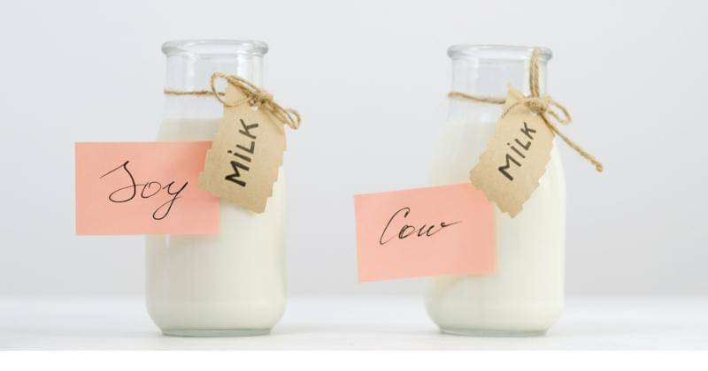 Shutterstock/Galubovy
 - Shutterstock/Galubovy