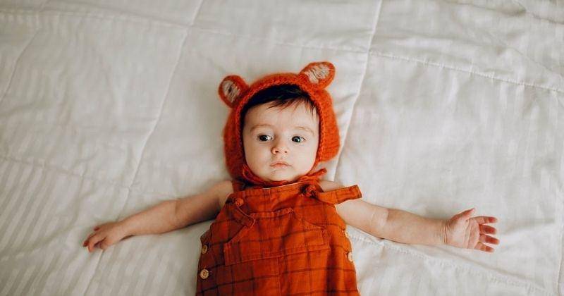 Pexels/wildlittlethingsphoto