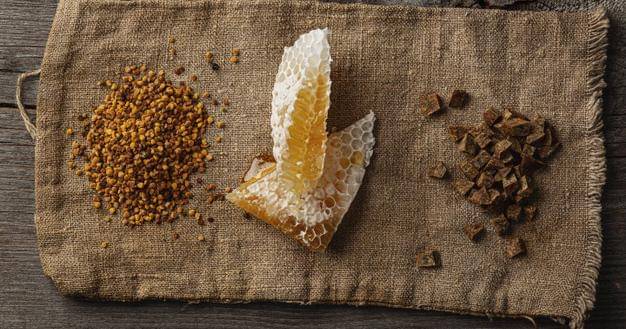 Dok. Jovee - Freepik/alefat