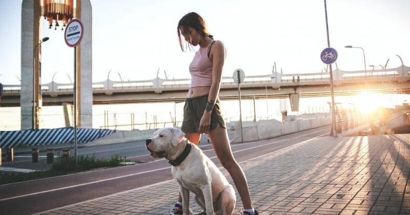 pexels/Ivan Obeleninov