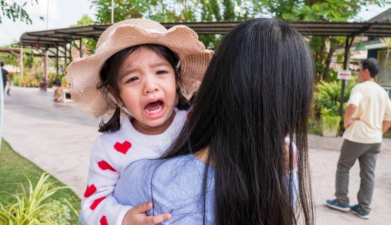 Shutterstock/Arleekhan Pathan