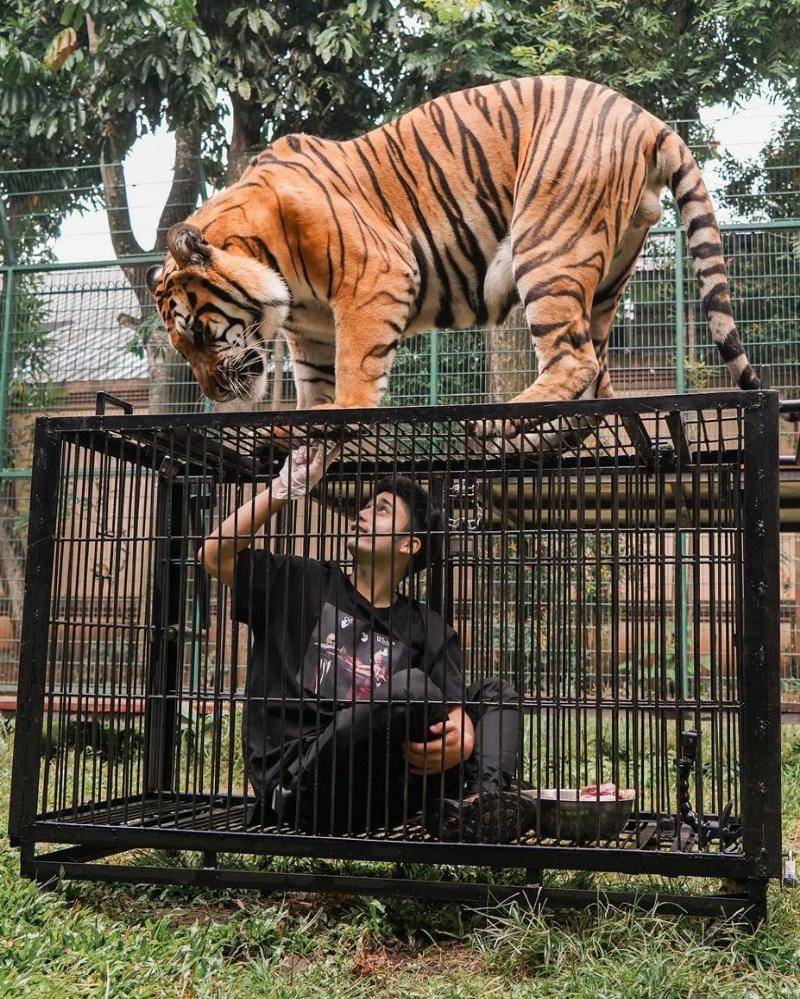 Instagram.com/alshadahmad