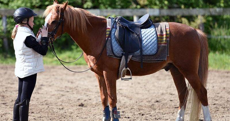 pexels/Arthur Krijgsman