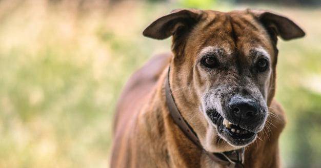 Ilustrasi - Freepik/Arrow_smith2