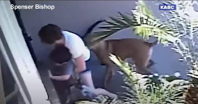 Youtube.com/ABC News