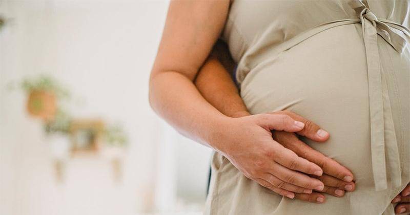 Pexels/Amina Filkins  