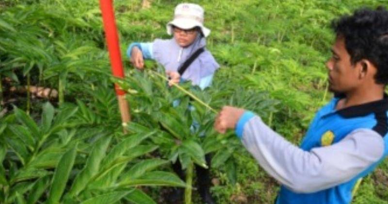 litbang.pertanian.go.id