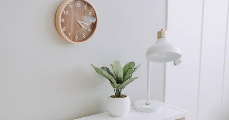 Unsplash/Samantha Gades