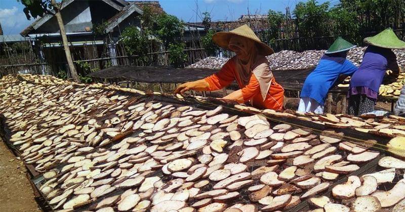 IDN Times/Nofika Dian Nugroho