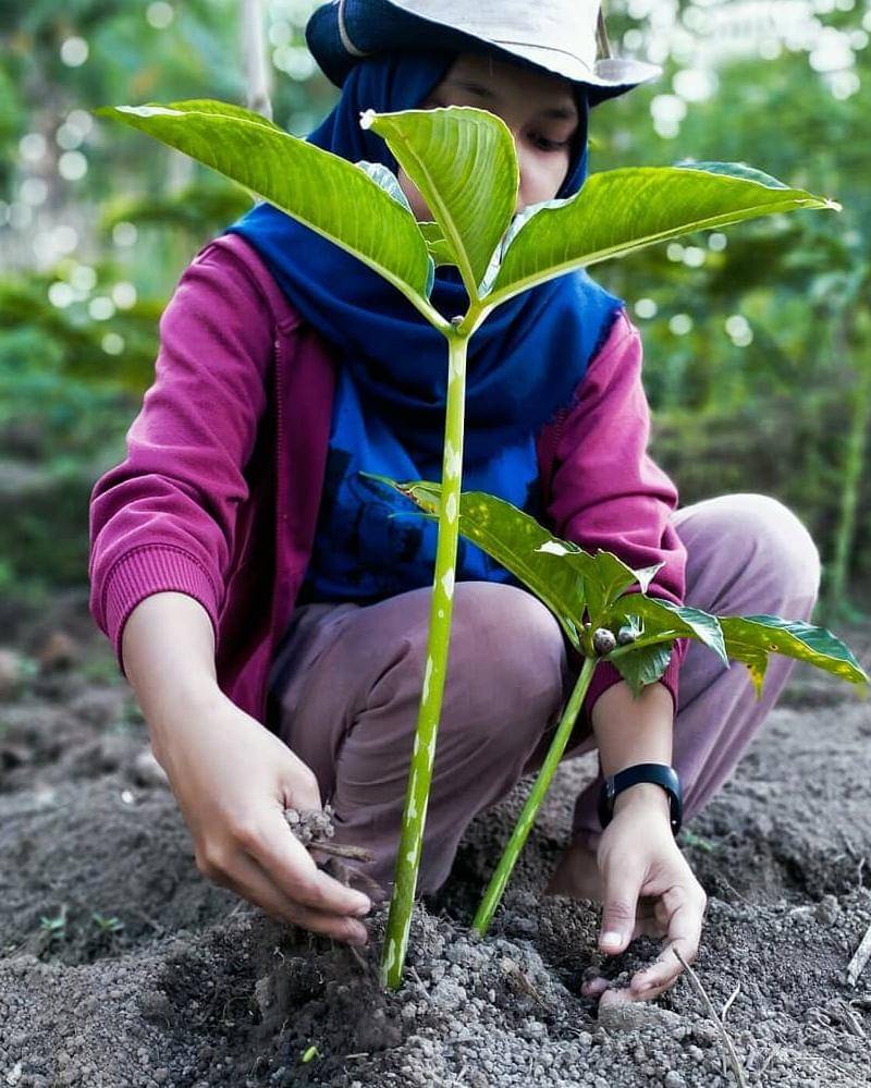 Instagram.com/petaniporangindonesia