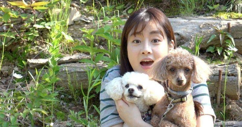 Instagram.com/reveramess_