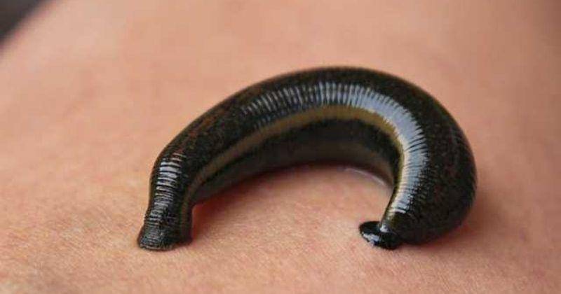 technologynetworks.com