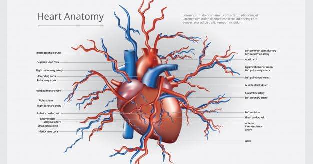 Dok. Jovee - Freepik/Pongpongching