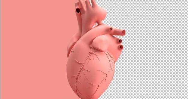 Freepik/www.slon.pics