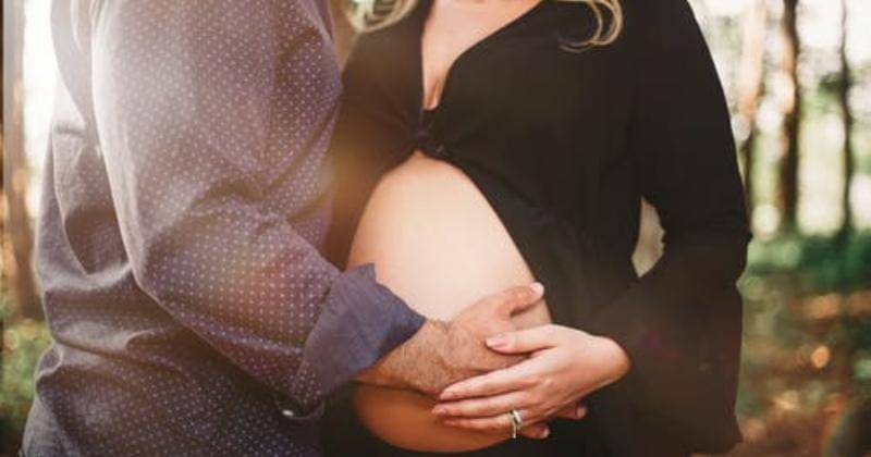 Pexels/Georgia Maciel