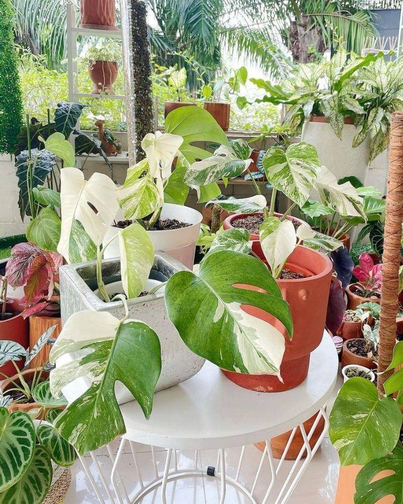 Instagram.com/titi_kamall