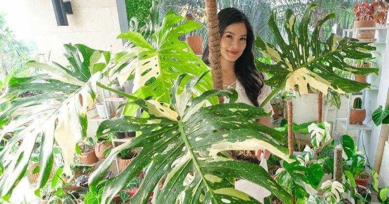 Instagram.com/titi_kamall