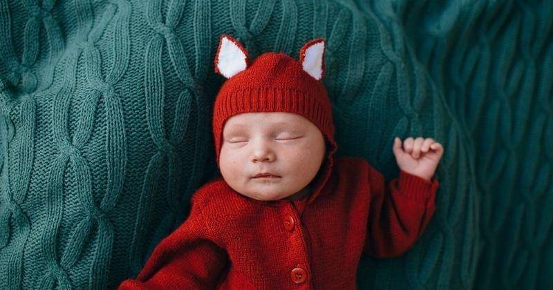 Pexels/wildlittlethingsphoto