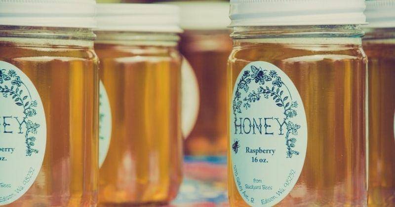 Unsplash/Amelia Bartlett