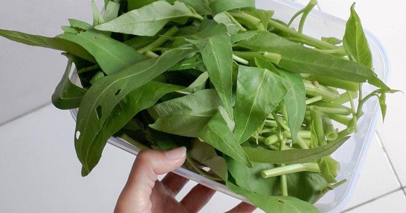 Pexels/laudia-tsyara