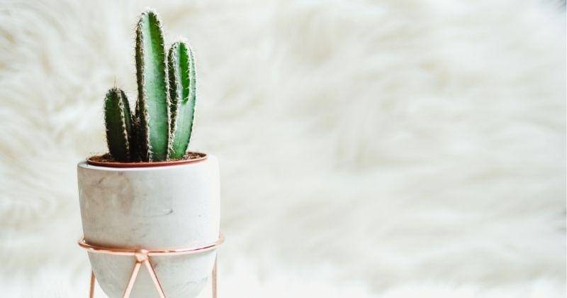 Unsplash/gaellemarcel