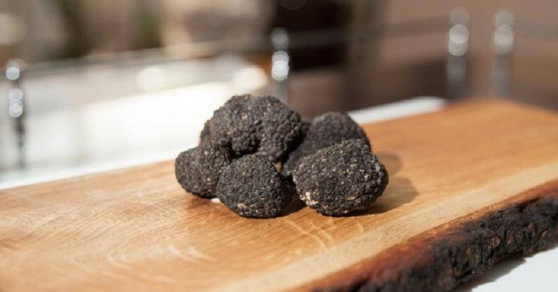 jamur truffle - Freepik