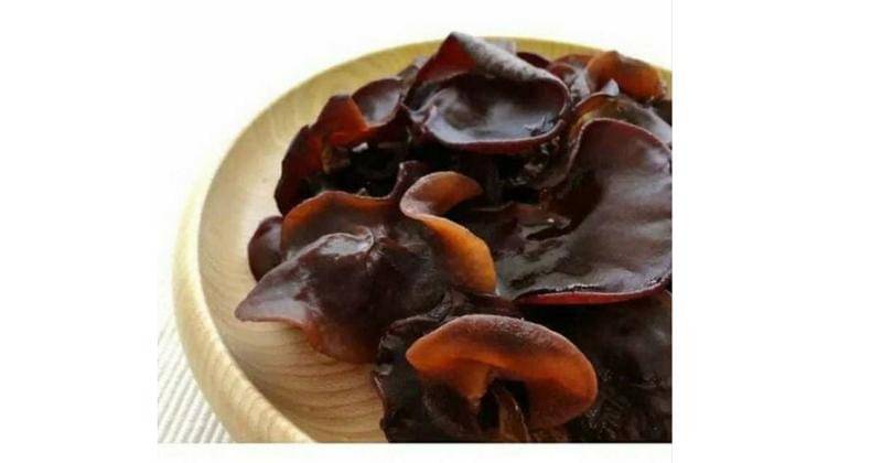 jamur kuping - tokopedia.com