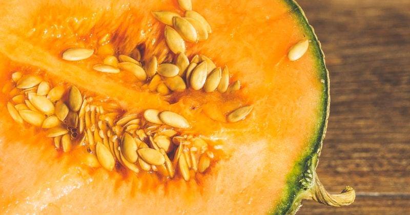 Pexels/susanne-jutzeler