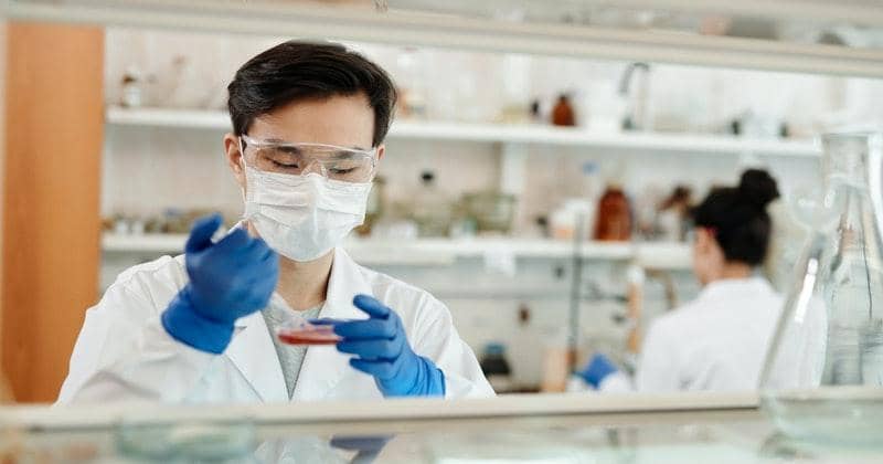 Pexels/edward-jenner