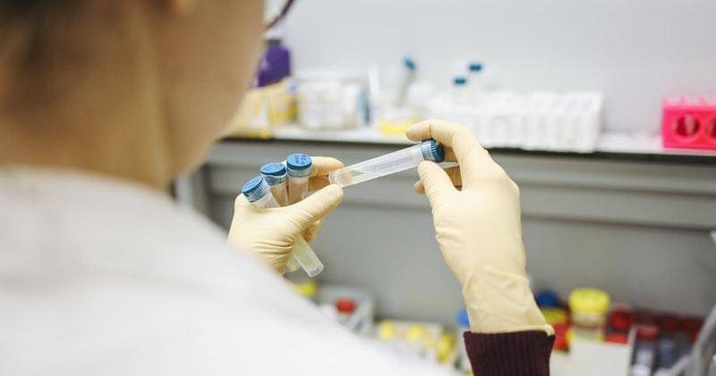 Pexels/polina-tankilevitch