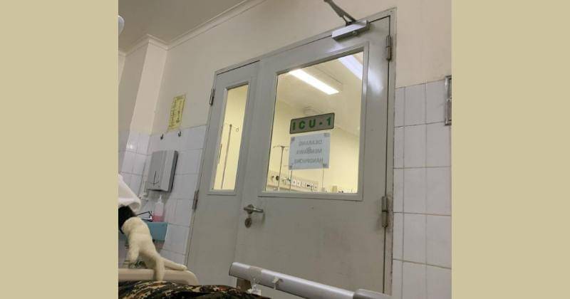 Instagram.com/radityaoloan