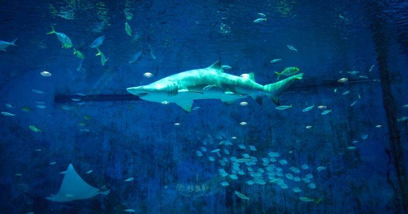 Ilustrasi - Pexels/magda-ehlers