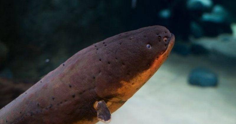 Instagram.com/vanaqua