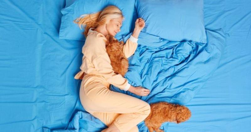 Freepik/wayhomestudio