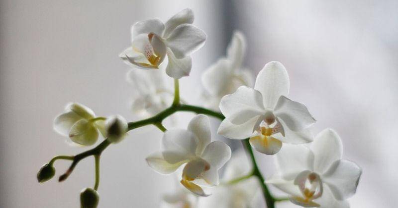 Unsplash/mybibimbaplife