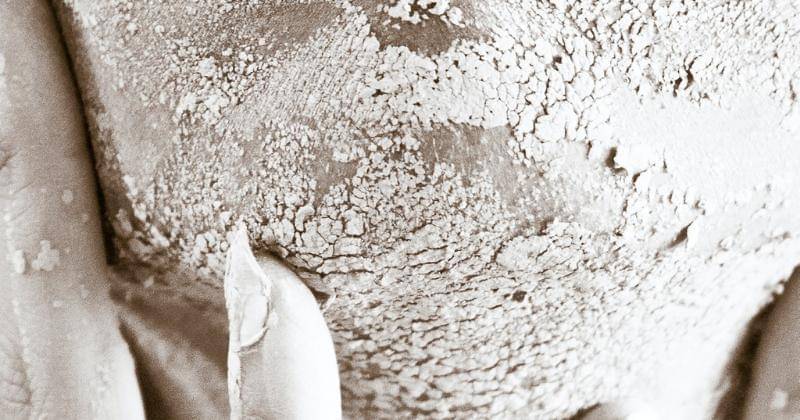 Pexels/Ricardo Garcia