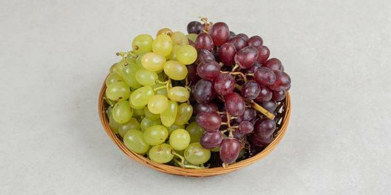 Freepik/azerbaijan_stockers