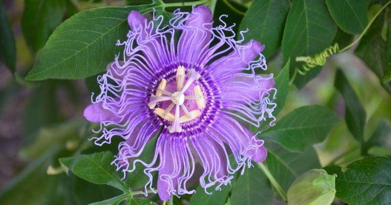 Unsplash/chaotictoejam