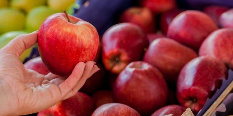 Freepik/Dragana_Gordic