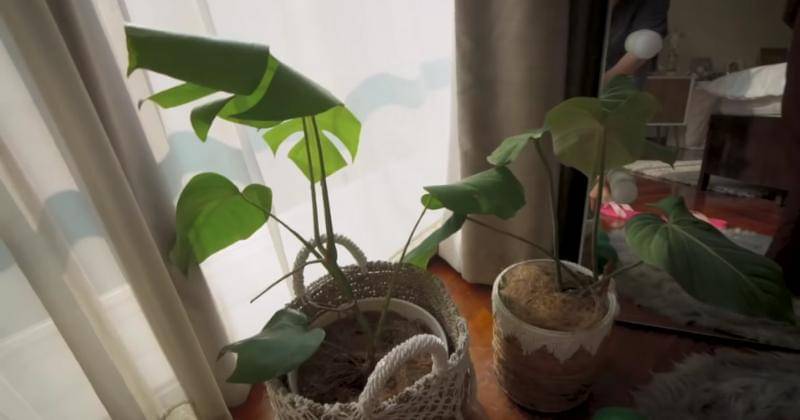 Youtube.com/Jessica Jane