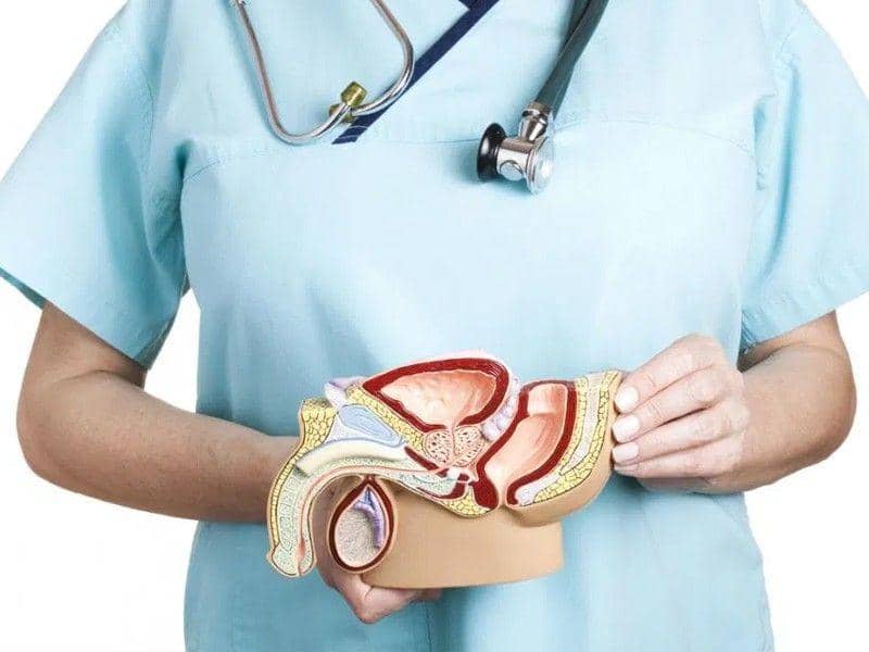 Varikokel pada Laki-laki: Penyebab Tersembunyi Kualitas Sperma Menurun