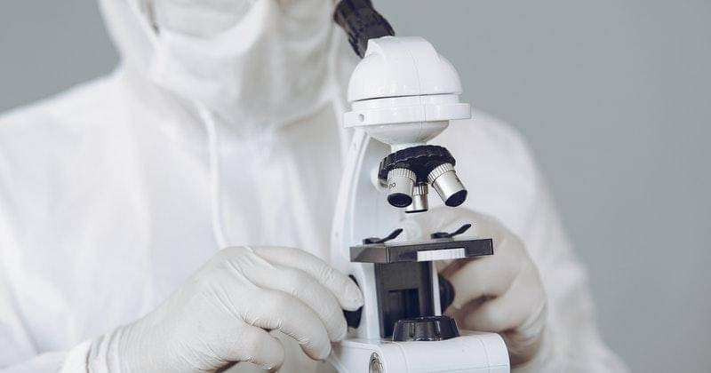 Pexels/gustavo-fring